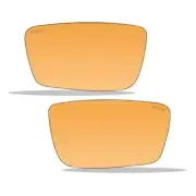 Wiley X Romer 3 replacement light rust lenses