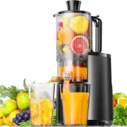 Cold Press Juicer, 5.5" Extra Large Feed Chute Slow Masticating Juicer, 250W Ju