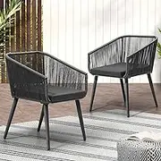 Livsip Outdoor Chair 2pcs Outdoor Furniture Patio Chairs with Cushion