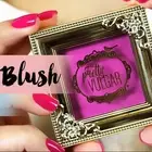 Pretty Vulgar Make Them Blush in Prim Vixen - NWT