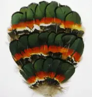 One Pheasant FEATHER PAD - Black Irridescent Mix F1 ; Halloween/Millinery/Craft