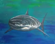 Original Shark Painting By Artist Ryan S Klopfenstein Sealife Ocean Art