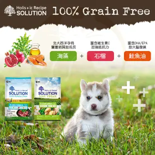 耐吉斯 SOLUTION 超級無穀犬系列 狗飼料 1.5kg