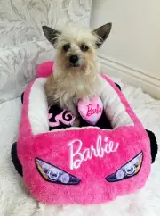 Barbie Plush Car Pet Bed- Themed Plush Pink Pet Bed for Dogs and Cats – Soft and