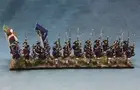 15mm Seven Years War painted Savoy/Piedmont Army Meyer Regiment SPA3