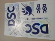 2025 Latest High Quality Digital 3D PEARLA PUNISHER DSC Cricket Bat Stickers