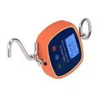 Digital Hook Scale LCD Display Mini Handheld Portable Hanging Balance Crane 2BD