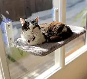 AUSSIE FURBABY Cat Hammock Foldable Window Perch Bed - Cordless Window Bed Hammock. XL Cordless 10kg Rated Seat Strong Suction Cups, Sunbathing Viewing Platform Cat Toy 50x30cm