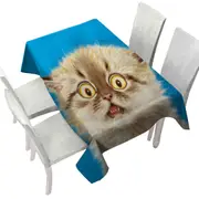 Cute Frightened Kitten Cat Tablecloth