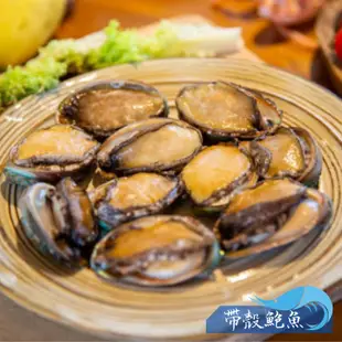 【昊鼎水產】帶殼鮑魚／淨重約550g／冷凍鮑魚／鮑魚／生凍鮑魚／九孔鮑／喜宴／桌菜／冷凍／年菜／批發