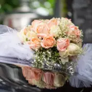 Tulle Rolls DIY Poly Mesh Ribbon Tulle Rolls Decoration Wedding