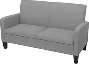 'vidaXL Fabric Upholstered 2-Seater Sofa in Light Grey - Pinewood Frame and Sturdy Construction - Modern Design - Dimensions: 135x65x76 cm