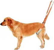 Dog Hind Leg Support Dog Support Harness for Back Legs Dog Lift Harness for Back Legsfor Pet Mobility Helps Dogs with Poor Stability Arthritis Joint Injuries (Orange, One Size)