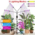LED Plant Grow Light 4 Head With Tripod Full Spectrum Dimming Indoor Veg Lamp