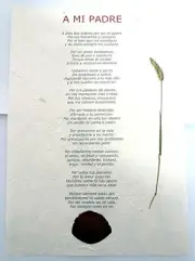 To My Father - on Handmade Plant Paper - Rose Petal