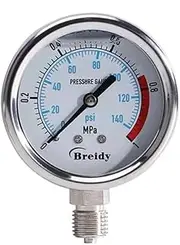 Pressure Gauge YN60 Stainless Steel Shock-Proof Radial Pressure Gauge Oil Pressure Hydraulic Pressure 0-1.6/100MPa Multi-Range(0.6mpa)