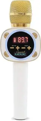 Official Carpool Singing Machine Karaoke The Mic Bluetooth Microphone for Cars