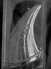 EXTRA LARGE 3D CORNUCOPIA 2 PIECE MOLD thanksgiving cornucopias give thanks