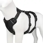 Anti -Traction Dog Harness, Adjustable Harness with Reflective Strips for Dog Necklaces, Padded Handle for Daily Walking and Dressage (L)