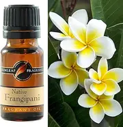 Gumleaf Fragrance Native Frangipani Fragrant Oil - 10ml, Cruelty Free & Vegan, Phthalate-Free Fragrance