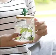 500ml Transparent Cactus Glass High Borosilicate with Wooden Lid Cup Milk Coffee Fruit Juice Mug Children Office Nice Gifts Presents with Spoon and Lid/1768