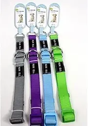 Boutique Retailer Dog Training Choker Collar Martingale Adjustable Lead, 2.5 cm Width (6 Pieces)