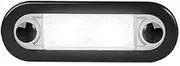 Hella LED 12V/24V DC Wide Rim Clear Lense White Light Rectangular Courtesy Lamp