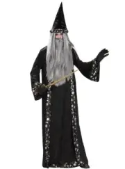 Adult Mr Wizard Robe & Hat Costume (Extra Large)