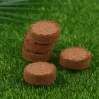 5Pcs Compressed Coco Coir Fiber Potting Soil Coir Coconut Soil Coir Bricks