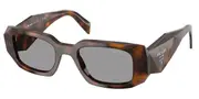 Prada PR 17WS 20D50Q Men's Sunglasses Tortoiseshell Size 49