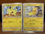 Pikachu PROMO 2 sets Pokemon Promo Card campaign Nintendo Pocket Monster JAPAN