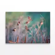Birds Perched On a Branch View Print 100% Australian Made 120 x 90cm (Stretched)