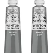 2x Winsor & Newton 200ml Winton Oil Colour Paint Artist/Painting Payne's Gray