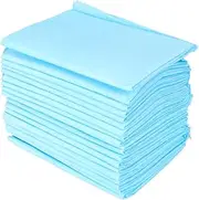 INOOMP 50Pcs Pet Pee Pad Dog and Puppy Pee Pads Training Wee Pads Pet Supplies 45*33Cm
