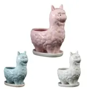 Artistic Llama Pattern Home Decoration Plants Flower Pot Container Planter