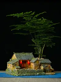 在飛比找樂天市場購物網優惠-正月嬌微景觀盆景花盆創意室內盆栽個性裝飾小盆景盆多肉文竹植物