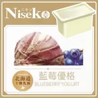 在飛比找蝦皮購物優惠-Niseko 冰淇淋-藍莓優格(一加侖盒裝)【滿999免運 