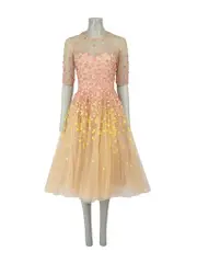 Beige Floral Embroidered Mesh Midi Dress
