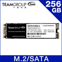 在飛比找PChome24h購物優惠-【福利品】TEAM十銓 MS30 M.2-2280 SATA