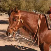 AD8059HL German Martingale by Al Dunning NEW