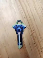 LABRADOR RETRIEVER DOG PRINTED SCHLAGE SC1 KEYBLANK