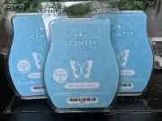 Lot of 3 Scentsy Blue Agave & melon Wax Bars New Scent Warmer New