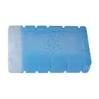 Outdoor Portable Freezer Picnic Camping Travel Fruit Cooler Box Ice Pack ISP