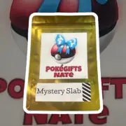 Pokemon Mystery Booster Box & Slab With Guaranteed Unbroken Bonds Pack!