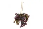 72cm Peperomia Caperata in Hanging Planter (with Rope) Artificial Flower Plant Fake