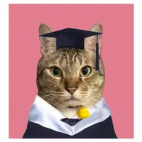 在飛比找蝦皮購物優惠-畢業照 大學畢業照 大頭照 學士服  證件照 貓 狗 精修 