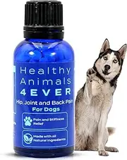 HealthyAnimals4Ever Arthritis Remedy for Dogs - Restore Energy & Vitality - Support Hip & Joint Health - Minimize Pain - All-Natural, Non-GMO, Organic - Preservative & Chemical Free - 300 ct