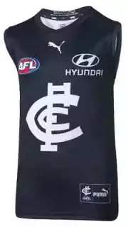 Carlton Blues 2023 AFL Kids Home Guernsey Sizes 6-14 BNWT