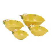 NEW Coastal Home Limone Ceramic Measuring Set 4pce