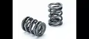 Supertech SPR-M1007D Dual Valve Springs Kit